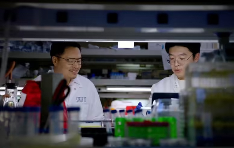 新型生物传感器问世：使用手机即可检测皮质醇水平，比医院检测还准(图1)